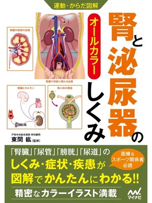 cover image of 運動・からだ図解 腎と泌尿器のしくみ